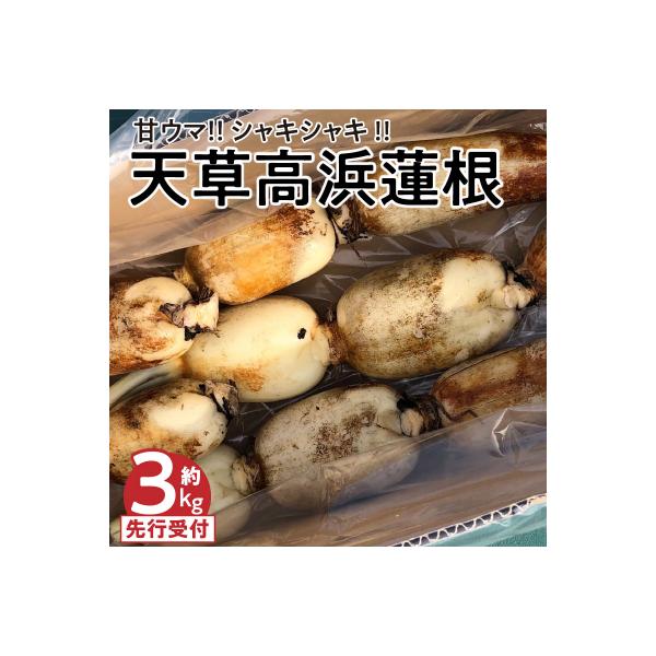 ■お礼品詳細　・発送方法：冷蔵　・返礼品事業者：高浜ロータスガーデン■お申し込み・配送・その他　・発送時期：2025年7月上旬〜2026年1月下旬まで（お届け時間帯指定可）　・申込受付期間：2025/06/13〜2026/01/15まで　・...