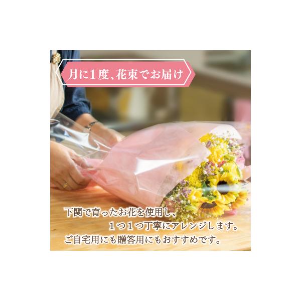ふるさと納税 下関市 お花の定期便 (花束) 毎月1回×3回分 GI002