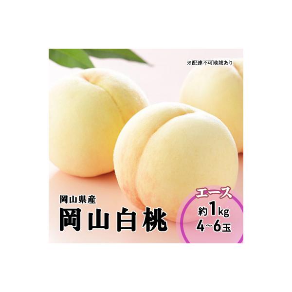 ■お礼品詳細　・内容量：岡山白桃 エース 4〜6玉 約1kg 岡山県内産（5条8号ハ）　・賞味期限：出荷日より冷蔵4日　・配送方法：冷蔵配送　・事業者：マルトウ促成青果有限会社　・備考：品種の指定および果実の大きさや玉数等、お届け日・時間の...