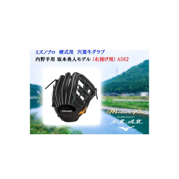 ふるさと納税 宍粟市 ミズノプロ 硬式用 宍粟牛グラブ 内野手用 坂本