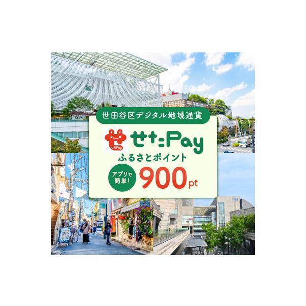 ■お礼品詳細　・配送方法：通常　・注意事項(1)：世田谷区では仕様上、お礼品発送通知メールを送付できかねます。　・注意事項(2)：状況により多少前後する場合があります(日時指定不可)。再配達期間を過ぎた場合、再送はいたしかねます。　・事業者...