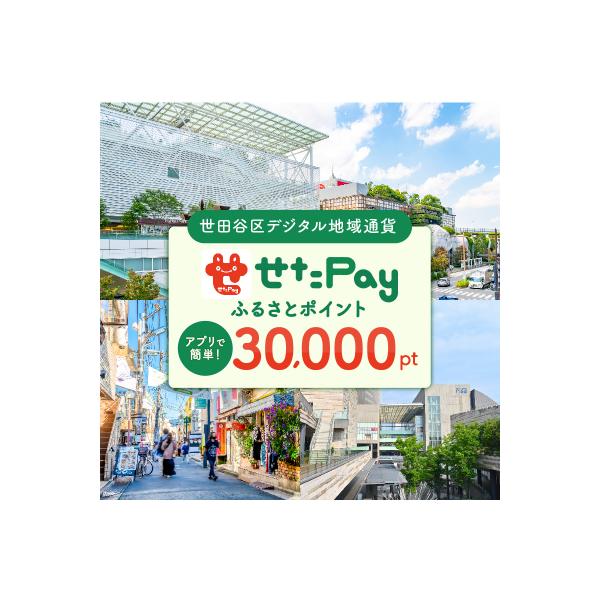 ■お礼品詳細　・配送方法：通常　・注意事項(1)：世田谷区では仕様上、お礼品発送通知メールを送付できかねます。　・注意事項(2)：状況により多少前後する場合があります(日時指定不可)。再配達期間を過ぎた場合、再送はいたしかねます。　・事業者...