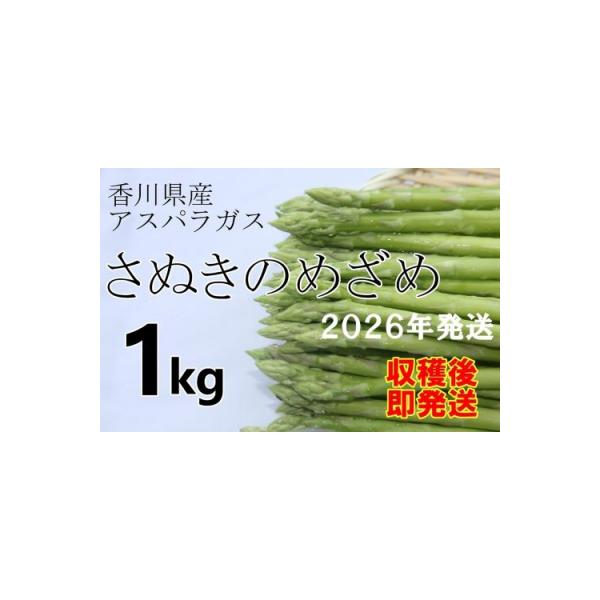 ■お礼品詳細　・内容量：約１kg　Lから２Lサイズの混載　　・賞味期限：賞味期限：発送日から５日前後（生もののため あくまでも目安です）　・配送方法：冷蔵便　・発送時期：【2026年3月頃から順次発送予定】■お申し込み・配送・その他　・発送...