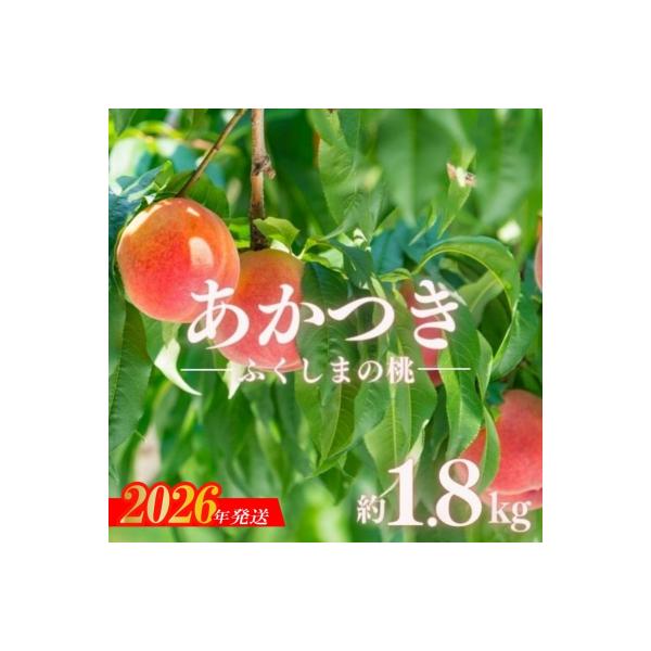 ■お礼品詳細　・事業者：古井果樹園　・内容量：約1.8kg（5〜7玉）　・賞味期限：発送日+3日　・配送方法：冷蔵便　・アレルギー：もも■お申し込み・配送・その他　・発送時期：2026年11月上旬から2026年8月中旬発送予定（お届け時間帯...