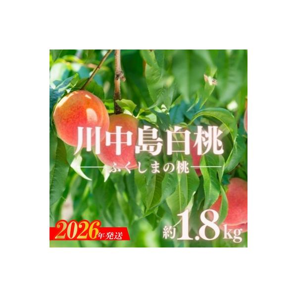 ■お礼品詳細　・事業者：古井果樹園　・内容量：約1.8kg（5〜7玉）　・賞味期限：発送日+3日　・配送方法：冷蔵便　・アレルギー：もも■お申し込み・配送・その他　・発送時期：2026年11月上旬から2026年8月下旬発送予定（お届け時間帯...