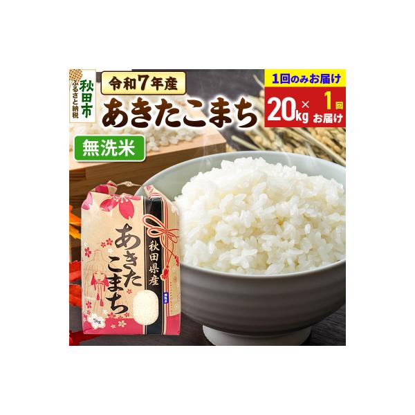 ふるさと納税返礼品　秋田県産　あきたこまち 5kg×4 20kg 農家直送 あきたこまち 20kg(5kg×4袋) 【1回のみお届け】 令和6年産 【無