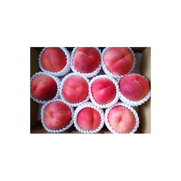 ■お礼品詳細　・配送方法：通常便　・事業者：木村フルーツ■お申し込み・配送・その他　・発送時期：2026年7月下旬〜9月上旬迄※ご不在日が多く配達が困難な場合、お礼品や配送先の変更をお願いする場合がございます。 　・申込受付期間：2026年...