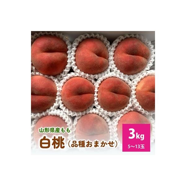 ■お礼品詳細　・配送方法：冷蔵便　・事業者：株式会社　丸勘山形青果市場■お申し込み・配送・その他　・発送時期：2026年7月中旬〜9月中旬迄※ご不在日が多く配達が困難な場合、お礼品や配送先の変更をお願いする場合がございます。 　・申込受付期...