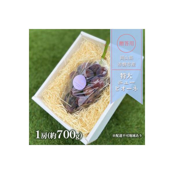 ■お礼品詳細　・配送方法：通常便　・配送不可地域：沖縄・離島■お申し込み・配送・その他　・発送時期：2026年8月中旬〜2026年9月中旬　・申込受付期間：2026年8月20日まで　・配達外のエリア：離島、沖縄県　・寄付証明書の送付時期目安...