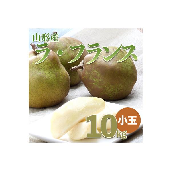 ■お礼品詳細　・配送方法：常温　・事業者：うまいずマーケット■お申し込み・配送・その他　・発送時期：2026年11月01日頃〜2026年12月31日頃※状況により配送時期が前後する場合がございます。(着日指定不可)※山形市では仕様上、お礼品...