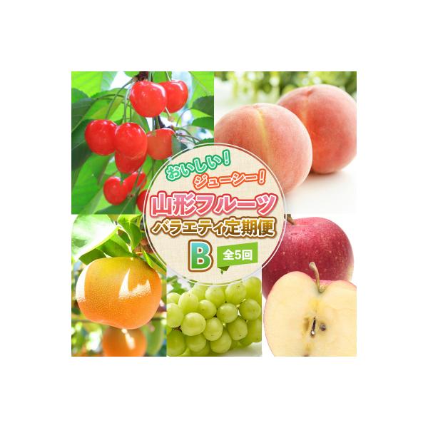 ふるさと納税 山形市 【定期便5回】おいしい!ジューシー!山形フルーツバラエティ定期便B  FZ25-821