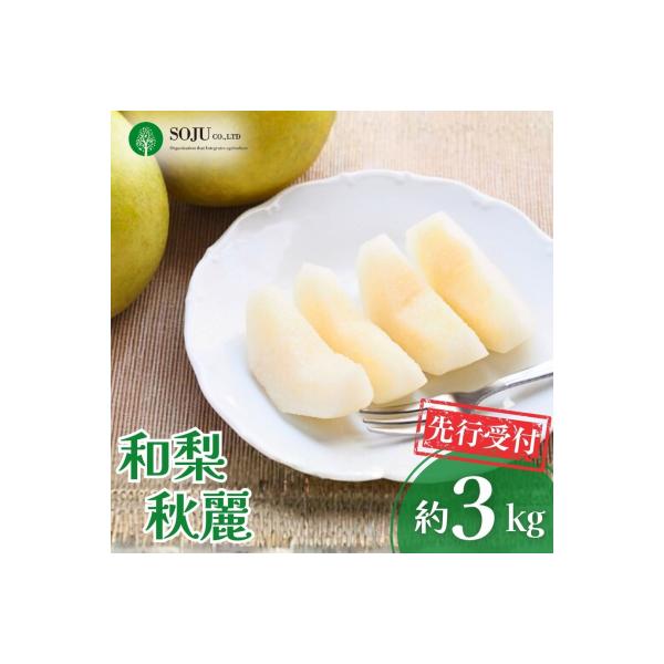 ■お礼品詳細　・事業者：株式会社想樹　・地場産品基準：1 三条市内において生産されているため。■お申し込み・配送・その他　・発送時期：9月上旬〜中旬頃※天候や生育状況により、発送開始・終了時期が前後する場合がございます。※お申込み順に発送い...