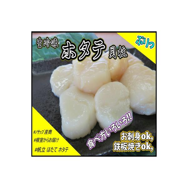 ふるさと納税 根室市 生冷凍ホタテ貝柱800g×1P B-59019