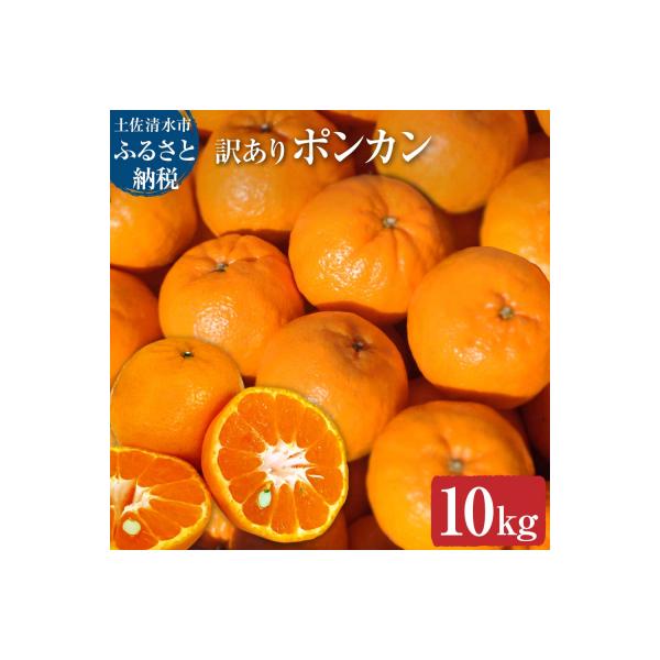 ふるさと納税 土佐清水市 【令和9年発送 訳あり】ぽんかん10kg