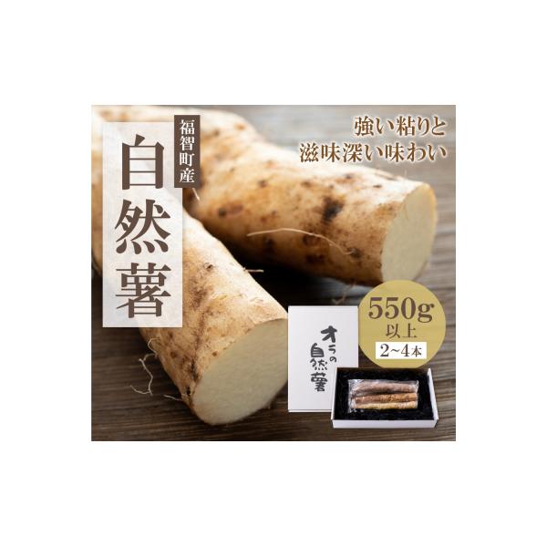 ■お礼品詳細　・賞味期限：配送より2週間以内　・配送方法：常温便　・返礼品提供事業者：F-BOX■お申し込み・配送・その他　・発送時期：12月中旬〜2月末（お届け時間帯指定可）　・申込受付期間：2026年1月末日※無くなり次第終了となります...