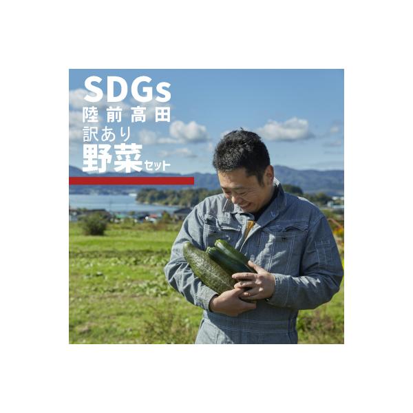 ■お礼品詳細　・内容量：訳あり 旬の野菜セット（約3〜4種類）　・消費期限：野菜により異なりますが、お受け取り後なるべく早めにお召し上がりください　・配送方法：冷蔵　・発送期日：入金確認から2ヶ月以内に発送いたします。　・アレルギー品目：ア...