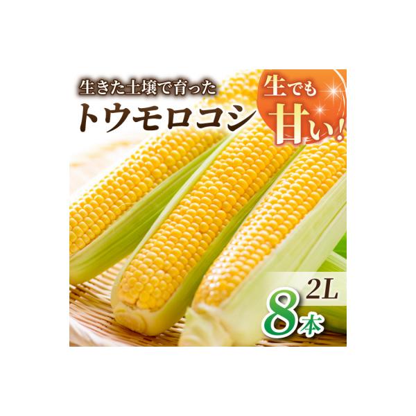 ■お礼品詳細　・内容量：とうもろこし（ゴールドラッシュ、味来）2Lサイズ8本、3.3kg以上※時期により品種が変わります　・消費期限：生食の場合、お届け当日。 調理の場合、1週間以内。　・保存方法：お受け取り後はすぐに開封し、皮付きのまま１...