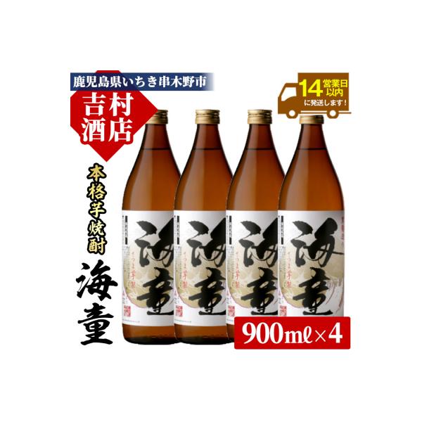 ふるさと納税 いちき串木野市 芋焼酎「海童(かいどう)」900ml×4本 芳醇