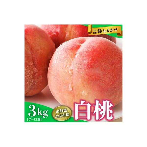 ■お礼品詳細　・配送方法：冷蔵便　・事業者：さとう果樹園■お申し込み・配送・その他　・発送時期：2026年8月中旬〜9月中旬迄※ご不在日が多く配達が困難な場合、お礼品や配送先の変更をお願いする場合がございます。 　・申込受付期間：2026年...