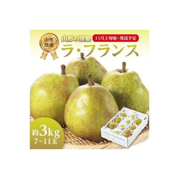 ふるさと納税 大江町 《先行受付》ラフランス 約3kg(7〜11玉) 【2026年11月上旬頃〜発送予定】 001-081