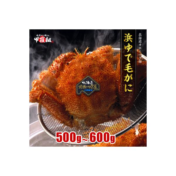 ふるさと納税 紋別市 【甲羅組】北海道産　ボイル毛蟹