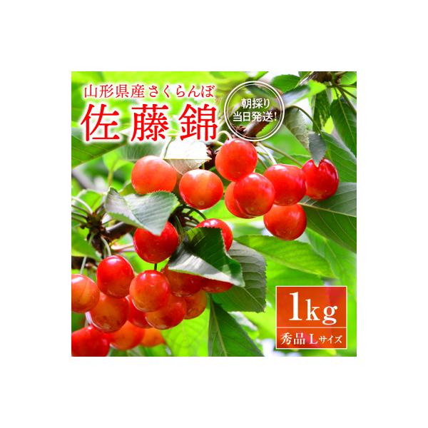 ■お礼品詳細■お申し込み・配送・その他　・発送時期：6月中旬頃から6月下旬に順次発送予定　※発送完了メールは送信できません。ご了承のうえお申し込みください。 ◆沖縄県・離島配送不可◆（お届け時間帯指定可）　・申込受付期間：2026年5月31...