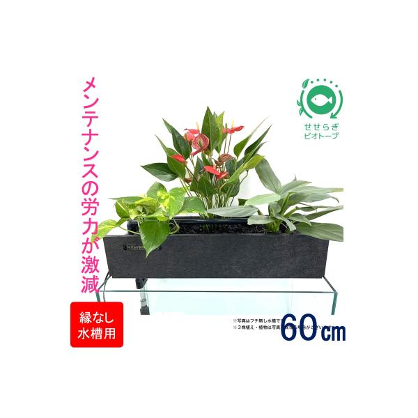 ふるさと納税 東広島市 せせらぎビオトープ 60cm型ろ過装置・縁なし