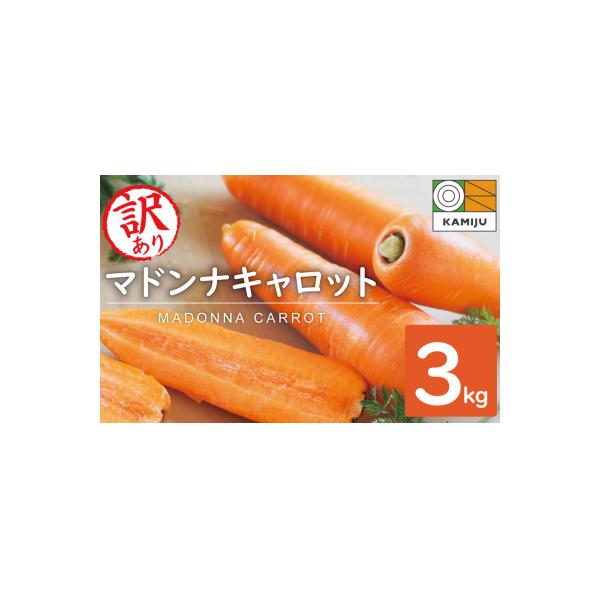 ■お礼品詳細　・内容量：3kg(大小サイズ混合　12本前後) ※箱の重さを含みます　・消費期限：出荷日+14日。生鮮食品のためお早めにお召し上がり下さい。　・配送方法：常温　・事業者：神重農産■お申し込み・配送・その他　・発送時期：11月下...