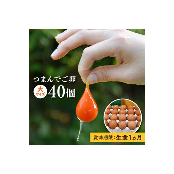 ■お礼品詳細　・配送方法：冷蔵便　・返礼品提供事業者：有限会社緑の農園■お申し込み・配送・その他　・発送時期：ページ内の「お礼品の内容・特徴」をご確認ください。（お届け時間帯指定可）　・申込受付期間：通年　・配達外のエリア：　・寄付証明書の...