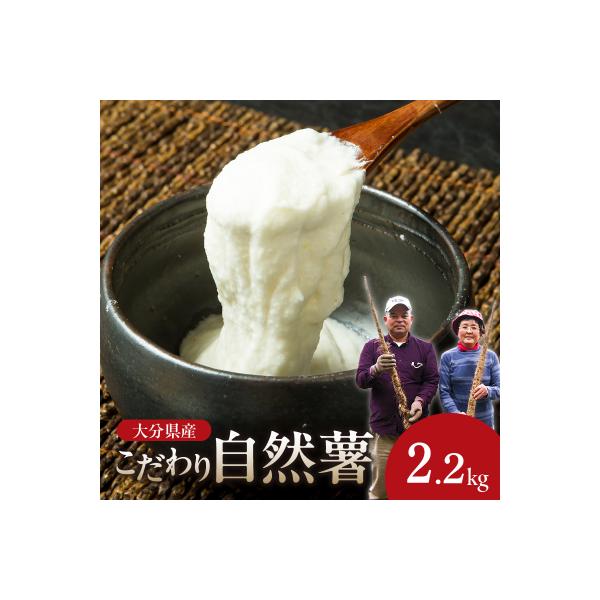 ■お礼品詳細　・配送方法：通常便　・提供事業者：後藤農園■お申し込み・配送・その他　・発送時期：ご入金確認後、順次発送予定（お届け時間帯指定可）　・申込受付期間：期間限定:2026年4月30日まで　・配達外のエリア：　・寄付証明書の送付時期...