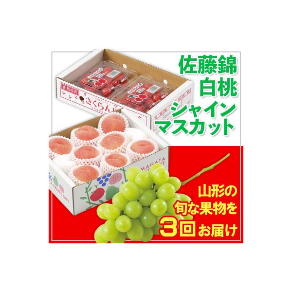 ■お礼品詳細　・配送方法：冷蔵　・事業者：佐竹物産株式会社■お申し込み・配送・その他　・発送時期：2026年06月01日頃〜2026年10月31日頃※状況により配送時期が前後する場合がございます。(着日指定不可)※山形市では仕様上、お礼品発...