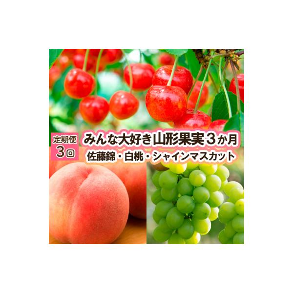 ■お礼品詳細　・配送方法：冷蔵　・事業者：株式会社丸勘山形青果市場■お申し込み・配送・その他　・発送時期：2026年06月15日頃〜2026年09月30日頃※状況により配送時期が前後する場合がございます。(着日指定不可)※山形市では仕様上、...