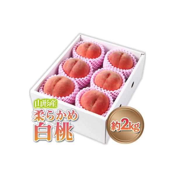 ■お礼品詳細　・配送方法：冷蔵　・事業者：株式会社アンスリーファーム■お申し込み・配送・その他　・発送時期：2026年08月25日頃〜2026年09月25日頃※状況により配送時期が前後する場合がございます。(着日指定不可)※山形市では仕様上...