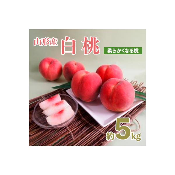 ■お礼品詳細　・配送方法：冷蔵　・事業者：ヤマイチ青果株式会社■お申し込み・配送・その他　・発送時期：2026年08月08日頃〜2026年09月08日頃※状況により配送時期が前後する場合がございます。(着日指定不可)※山形市では仕様上、お礼...