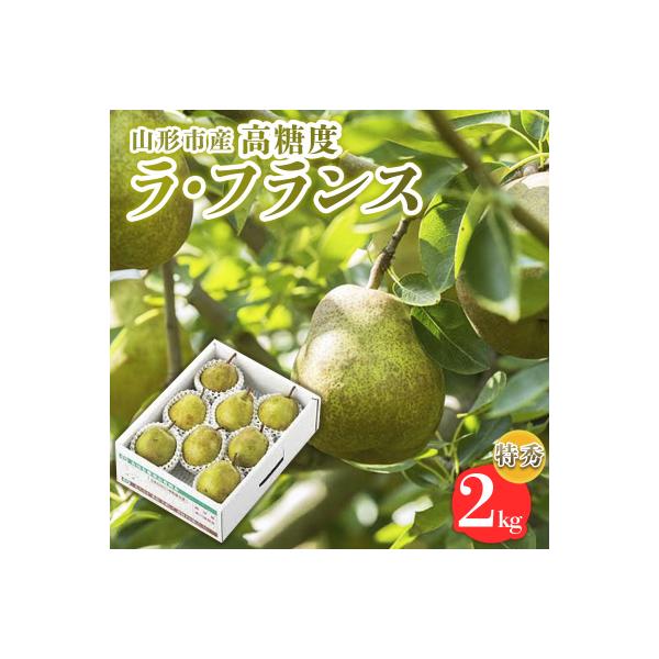 ■お礼品詳細　・配送方法：常温　・事業者：株式会社山美ファーム■お申し込み・配送・その他　・発送時期：2026年10月20日頃〜2026年11月20日頃※状況により配送時期が前後する場合がございます。(着日指定不可)※山形市では仕様上、お礼...