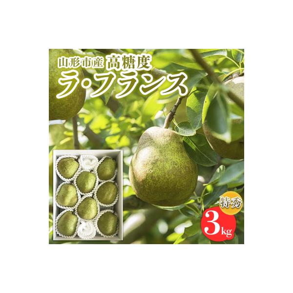 ■お礼品詳細　・配送方法：常温　・事業者：株式会社山美ファーム■お申し込み・配送・その他　・発送時期：2026年10月20日頃〜2026年11月20日頃※状況により配送時期が前後する場合がございます。(着日指定不可)※山形市では仕様上、お礼...