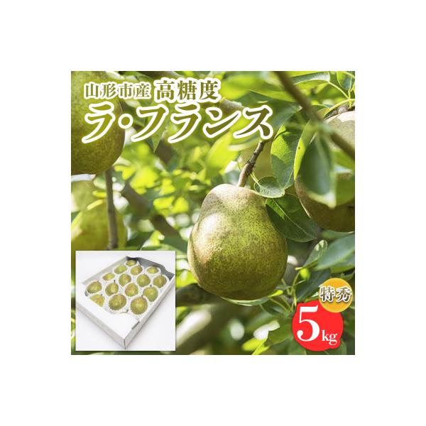 ■お礼品詳細　・配送方法：常温　・事業者：株式会社山美ファーム■お申し込み・配送・その他　・発送時期：2026年10月20日頃〜2026年11月20日頃※状況により配送時期が前後する場合がございます。(着日指定不可)※山形市では仕様上、お礼...