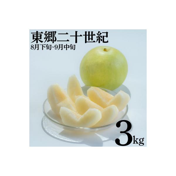 ■お礼品詳細■お申し込み・配送・その他　・発送時期：8月下旬〜9月中旬頃（お届け時間帯指定可）　・申込受付期間：〜2026年3月29日(日)まで　・配達外のエリア：　・寄付証明書の送付時期目安：申込完了日から２週間程度　・提供元：湯梨浜町