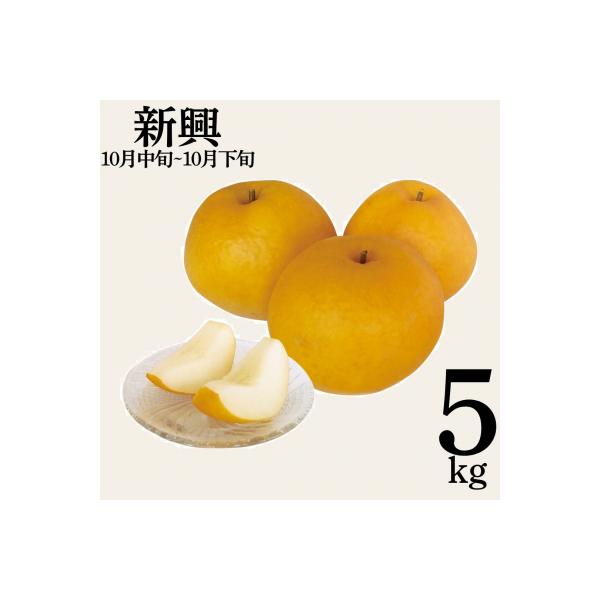 ■お礼品詳細■お申し込み・配送・その他　・発送時期：10月中旬〜10月下旬頃（お届け時間帯指定可）　・申込受付期間：〜2026年3月29日(日)まで　・配達外のエリア：　・寄付証明書の送付時期目安：申込完了日から２週間程度　・提供元：湯梨浜町