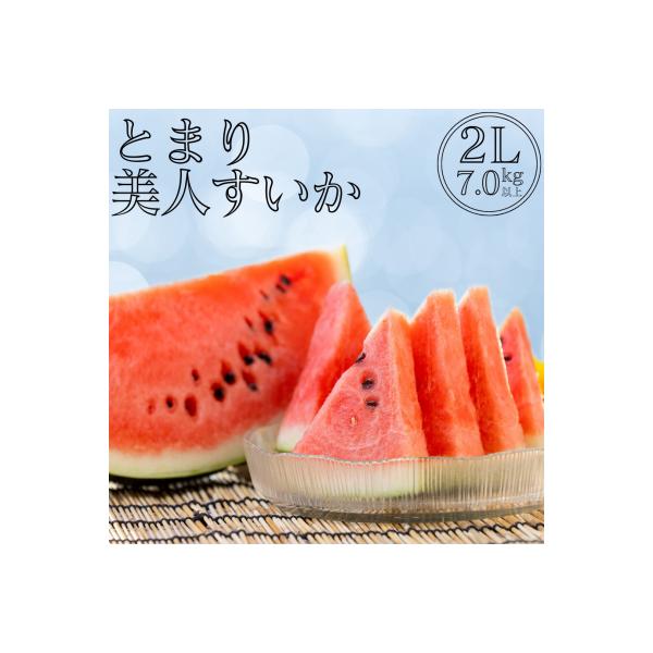 ■お礼品詳細■お申し込み・配送・その他　・発送時期：6月上旬〜6月下旬頃（お届け時間帯指定可）　・申込受付期間：〜2026年3月29日(日)まで　・配達外のエリア：　・寄付証明書の送付時期目安：申込完了日から２週間程度　・提供元：湯梨浜町