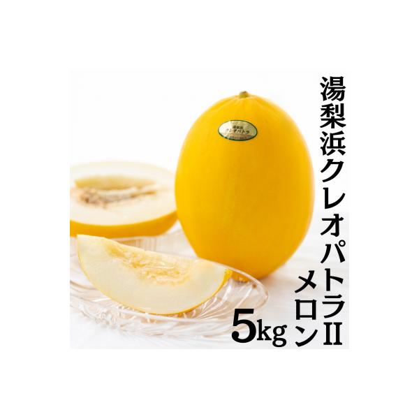 ■お礼品詳細■お申し込み・配送・その他　・発送時期：5月下旬〜6月下旬頃（お届け時間帯指定可）　・申込受付期間：〜2026年3月29日(日)まで　・配達外のエリア：　・寄付証明書の送付時期目安：申込完了日から２週間程度　・提供元：湯梨浜町