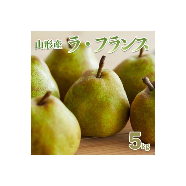 ■お礼品詳細　・配送方法：常温　・事業者：株式会社森からの恵み■お申し込み・配送・その他　・発送時期：2026年11月01日頃〜2026年12月01日頃※状況により配送時期が前後する場合がございます。(着日指定不可)※山形市では仕様上、お礼...