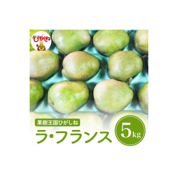 ■お礼品詳細　・アレルギー：28品目中：該当なし　・配送方法：通常便　・提供事業者：滝口観光果樹園■お申し込み・配送・その他　・発送時期：10月下旬頃〜11月頃(天候等により変動します)追熟時期に合わせてお送りします。※発送完了メールは送信...