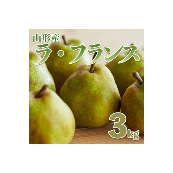 ■お礼品詳細　・配送方法：常温　・事業者：株式会社森からの恵み■お申し込み・配送・その他　・発送時期：2026年11月01日頃〜2026年12月01日頃※状況により配送時期が前後する場合がございます。(着日指定不可)※山形市では仕様上、お礼...