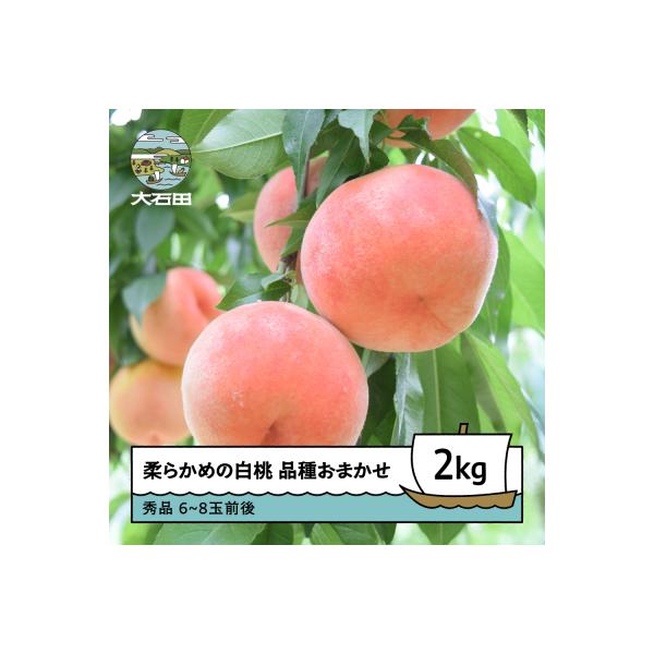 ■お礼品詳細　・白桃の品種例：あかつき、まどか、川中島、美月など ※追熟すると柔らかくなります。お好みの柔らかさでお楽しみください　・内容量：2kg(6~8玉前後)※玉数は、生育状況や品種によって異なる場合がございます。　・配送方法：冷蔵　...