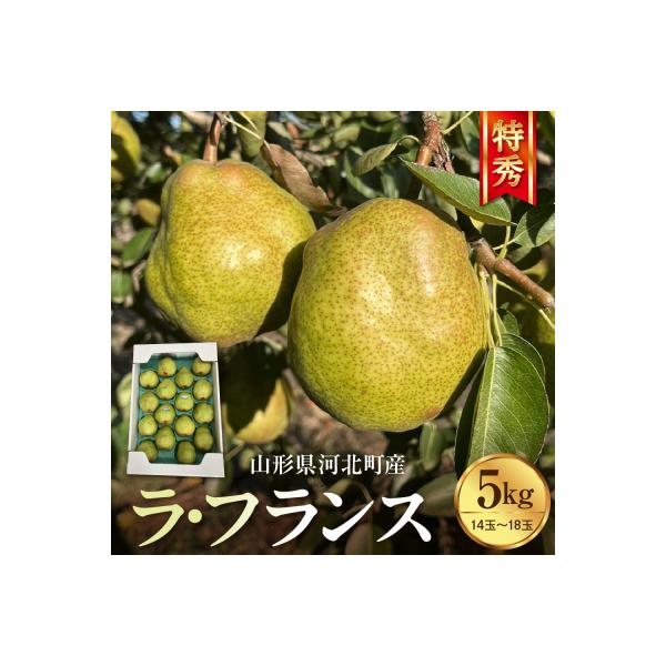 ■お礼品詳細■お申し込み・配送・その他　・発送時期：2026年11月頃から順次発送　※配送時期は天候及び生育状況により前後いたします。　※発送完了メールは送信できません。ご了承のうえお申し込みください。 ◆沖縄県・離島配送不可◆（お届け時間...