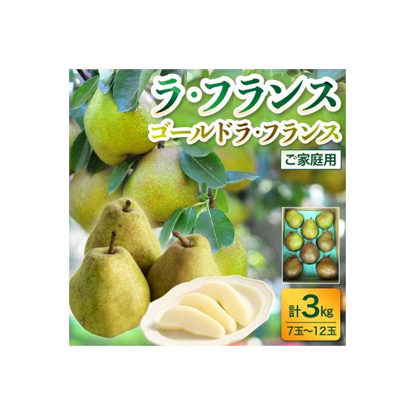 ふるさと納税 上山市 ラ・フランスとゴールドラ・フランス詰合せ　3kg　ご家庭用　0017-2624