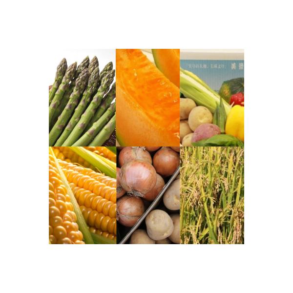 ■お礼品詳細■お申し込み・配送・その他　・発送時期：アスパラ(5月中旬〜6月上旬)・メロン(7月中旬〜8月上旬)・スイートコーン(8月上旬〜9月上旬)・夏野菜セット(8月中旬〜9月中旬)・秋の味覚6点セット(9月中旬〜10月中旬)・お米(1...