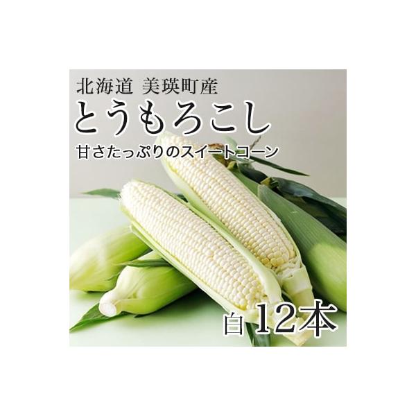 ■お礼品詳細■お申し込み・配送・その他　・発送時期：令和8年8月中旬よりお届けします。 天候により発送が前後する場合があります。あらかじめご了承ください。　・申込受付期間：令和8年8月下旬までの受付となります。 ※天候により受付期間が変更に...