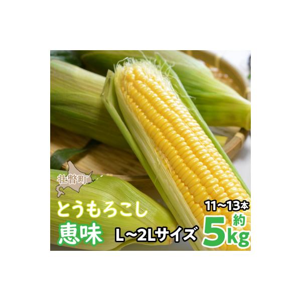 ■お礼品詳細　・内容量：とうもろこし(恵味)L〜2Lサイズ　合計11〜13本　約5kg■お申し込み・配送・その他　・発送時期：8月初旬〜8月末頃まで　・申込受付期間：2026年8月24日まで　・配達外のエリア：離島、沖縄県　・寄付証明書の送...